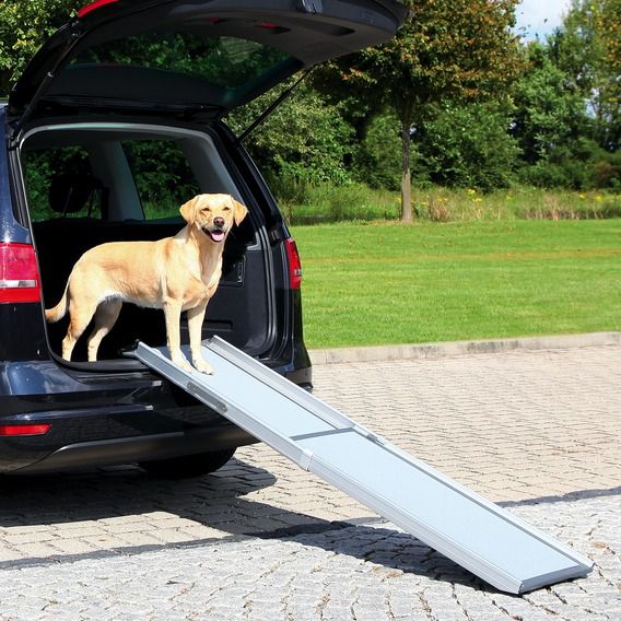 TRIXIE Auto Stoßstangen-Schutz - Hund